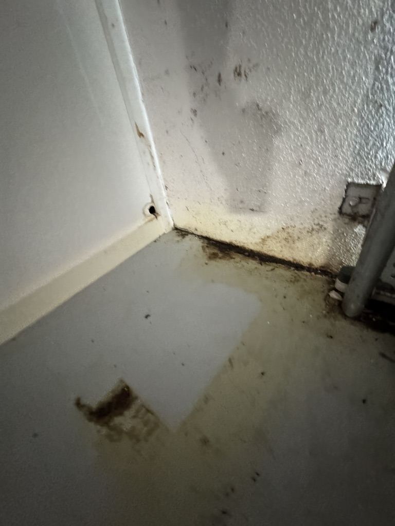 Grime and staining through a wall corner and floor — real Brisbane rental