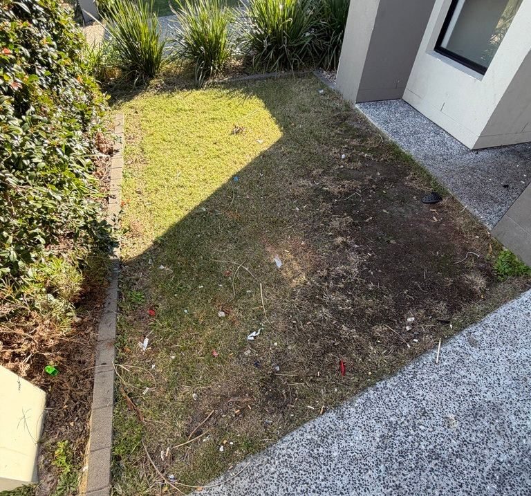 Dead, littered lawn patch at a rental property — real Brisbane rental